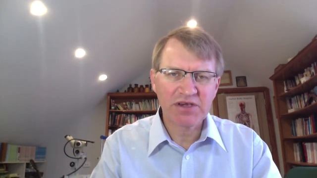 Is Ringworm Candida?