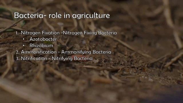 Economic Importance Of Bacteria And Fungi Part 2 By Neha Tripathy