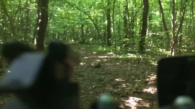 Сбор летних грибов. смотреть онлайн