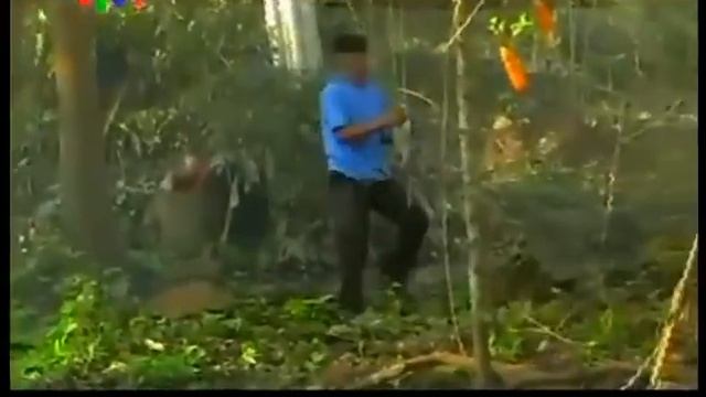 clip hot : hunting monkeys in Vietnam смотреть онлайн