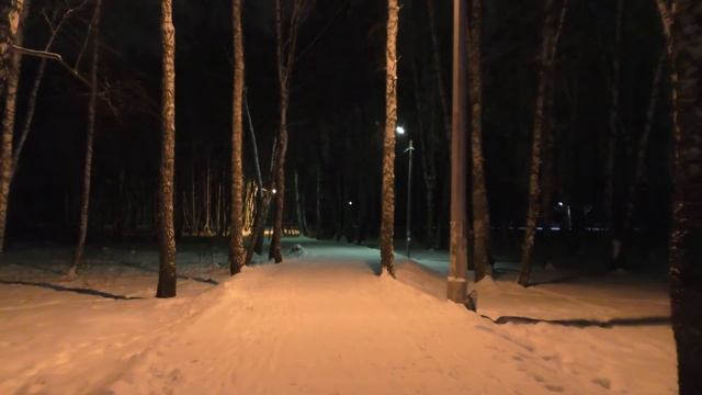 Предновогодняя ночная прогулка по Бердску в 2021 смотреть онлайн