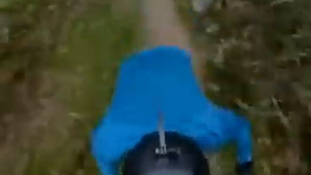 I present this to bober fans смотреть онлайн