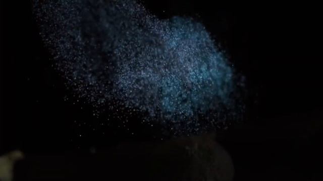 A Tripping Journey Through The Fungi Kingdom