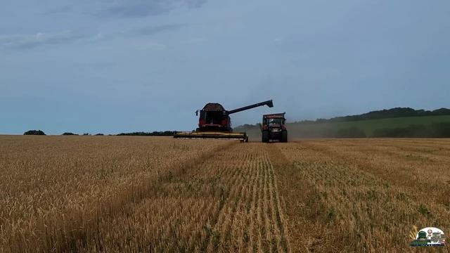 Приехали на помощи! 6 Комбайнов FENDT IDEAL и CASE IH вместе с тракторами Т-150к,Case Puma и CLAAS! смотреть онлайн