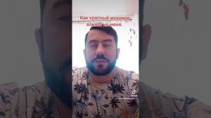 Как влияет красный мухомор на организм