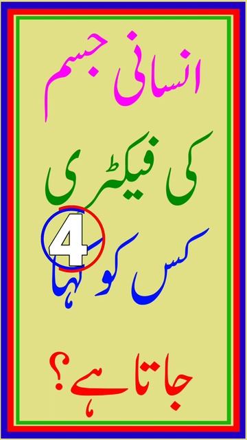 Paheliyan In Urdu With Answer #youtubeshorts #youtube #ytshorts