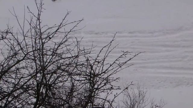 + 4 л/с под капот на любой авто , без вложений. смотреть онлайн