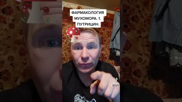 ПУТРИЦИН.МУХОМОР смотреть онлайн