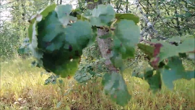 ✔Очень странно😦 ✔