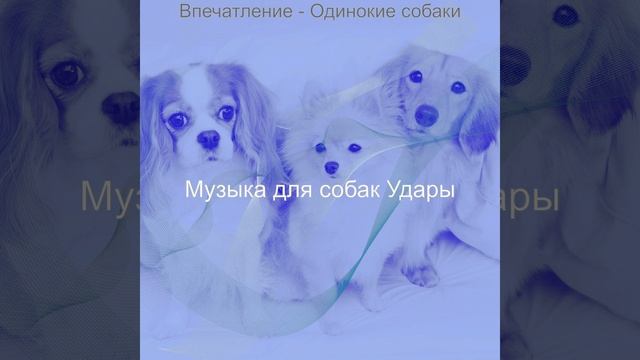 Звуки (Одинокие собаки) смотреть онлайн