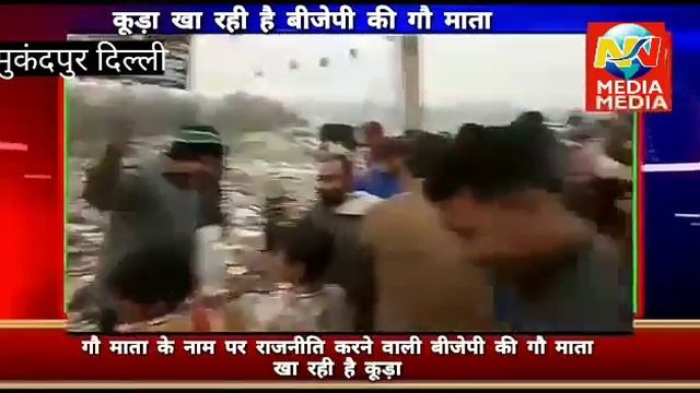 कूड़े के ढ़ेर पर सांसद का जन्मदिन, विचीत्र स्टोरी,NNN Ews, Nn Media,