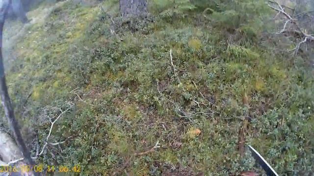 орехово 3 смотреть онлайн