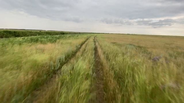 Рыбалка на р.Убаган | Щука на спиннинг смотреть онлайн
