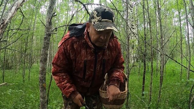 СБОР ГРИБОВ И МЕТАЛЛОКОП #2023