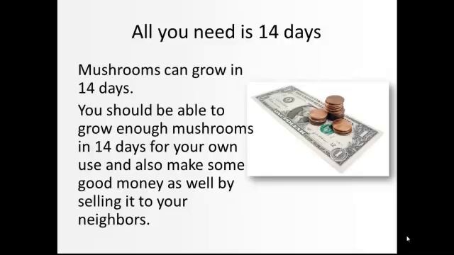 Growing Mushrooms For Profit - How To Guide