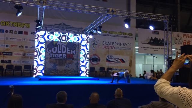Золотой Тигр 2015 фитнес произвольная программа смотреть онлайн