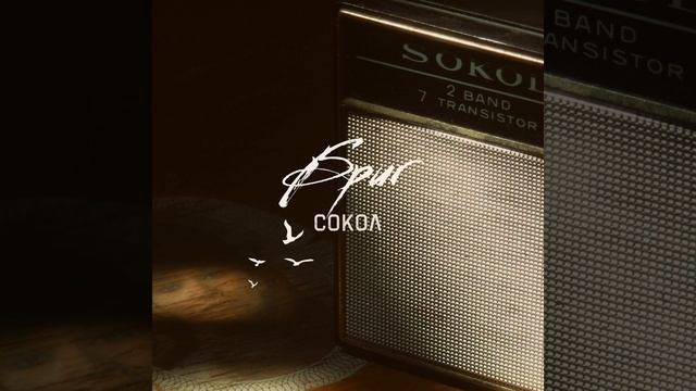 Сокол смотреть онлайн