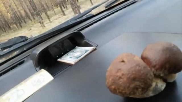 Я рисую жизнь. 2021. смотреть онлайн