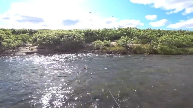 ВОДА КИПИТ ОТ РЫБЫ В ЭТОЙ РЕКЕ !! ЗАПОЛЯРНАЯ РЫБАЛКА !!! смотреть онлайн