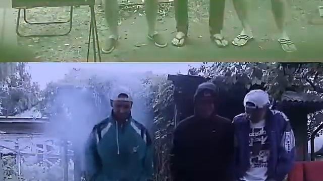 Грибы-Тает Лед