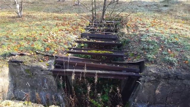 ГСВГ. Полоса препятствий на участке Ютербогского полигона близ расположения в/ч47280 27.10.2022 смотреть онлайн