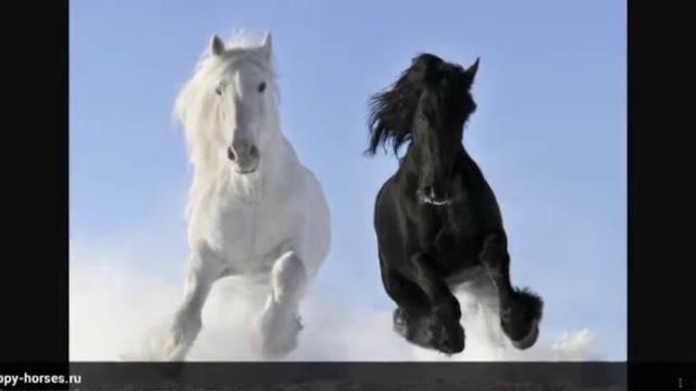 Насекомый и животный мир смотреть онлайн