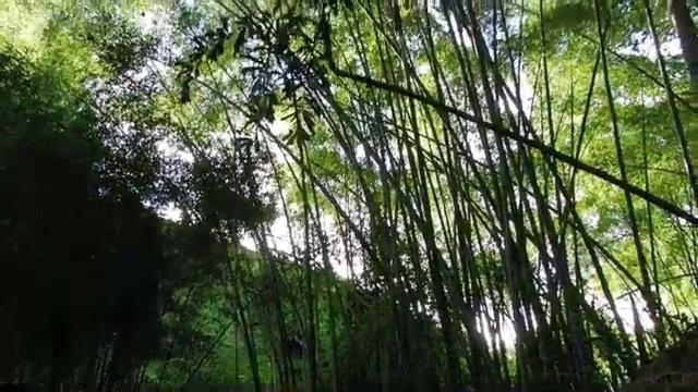 QUINDIO ECOTOURISM, ADVENTURE