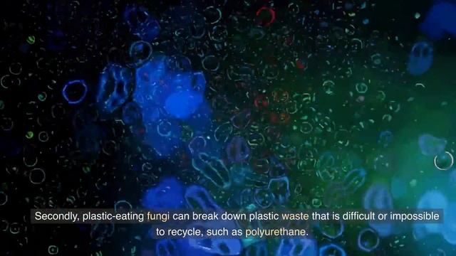 Plastic Eating Fungi смотреть онлайн