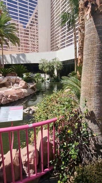Las Vegas - Flamingo смотреть онлайн