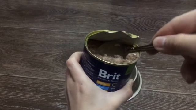 Вислоухое Тестирование/ Боня пробует консерва смотреть онлайн