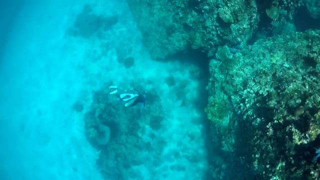 видеоклип Краби смотреть онлайн