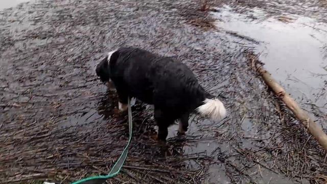 26 апреля 2024 г. смотреть онлайн