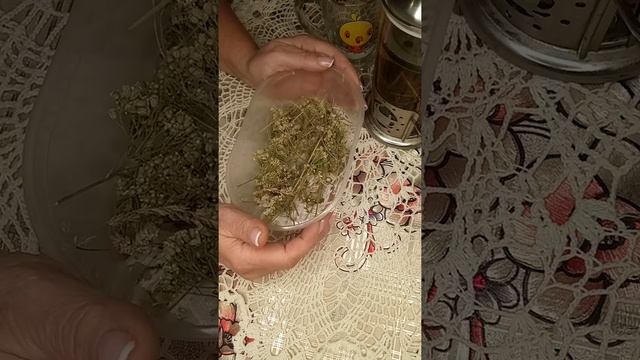 Життя яке воно є, без прикрас смотреть онлайн