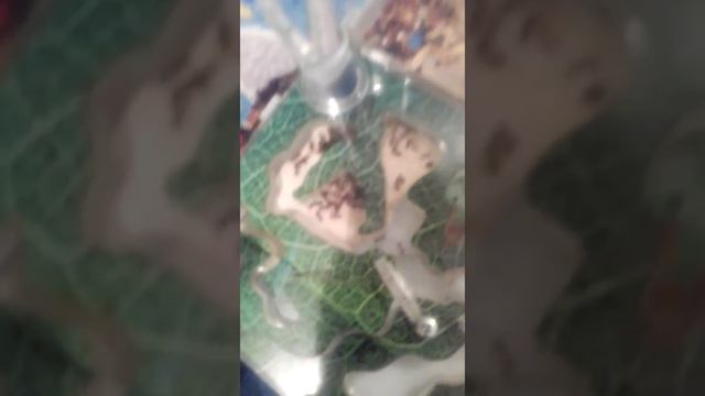Муравьи смотреть онлайн