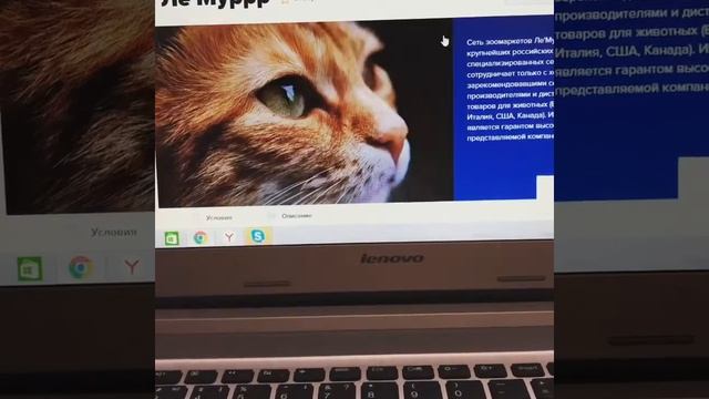 инструкция по применению кэшбэк платформы WWPC смотреть онлайн