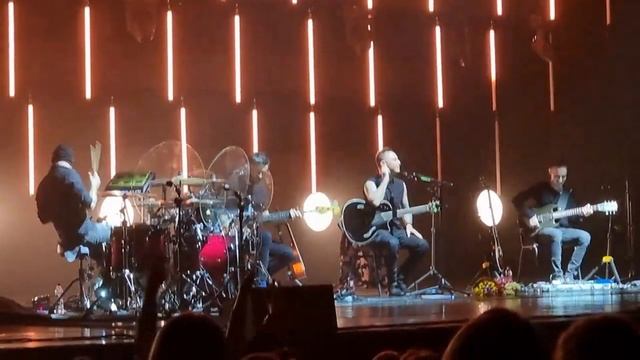 Звери смотреть онлайн