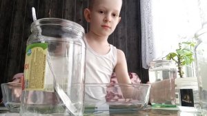 Как Сделать Слоновую Пасту