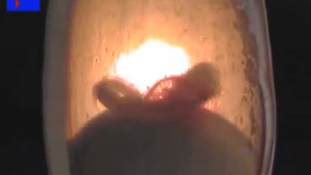 Nacimiento de un Tiburón смотреть онлайн