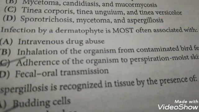 Mcq based on clinical Mycology for M. Sc Microbiology students смотреть онлайн
