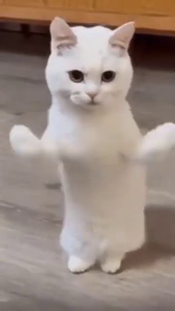 я научился менять голос смотреть онлайн