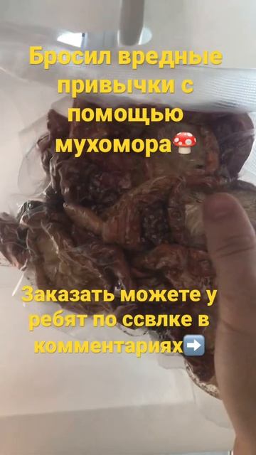 #мухомор #здоровье #грибы #вишневский #епифанцев #микродозинг #депрессияушла #бросилпить