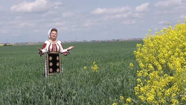 UITE NEICA, NU E NEICA. PAULINA IRIMIA MORARITA смотреть онлайн
