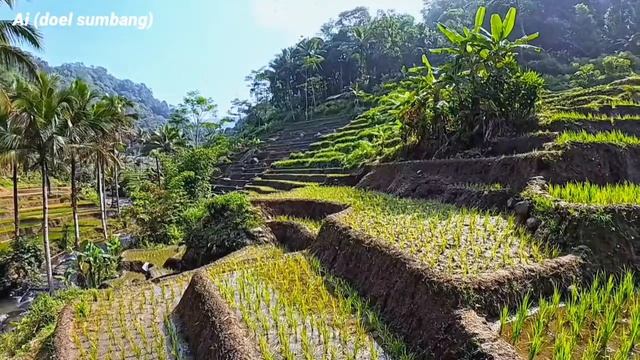 KUMPULAN PONGDUT KOPLO TERBARU 2024 ~ DIJAMIN ENAK BANGET , AUDIO JERNIH FULL BASS PALING MANTAB смотреть онлайн