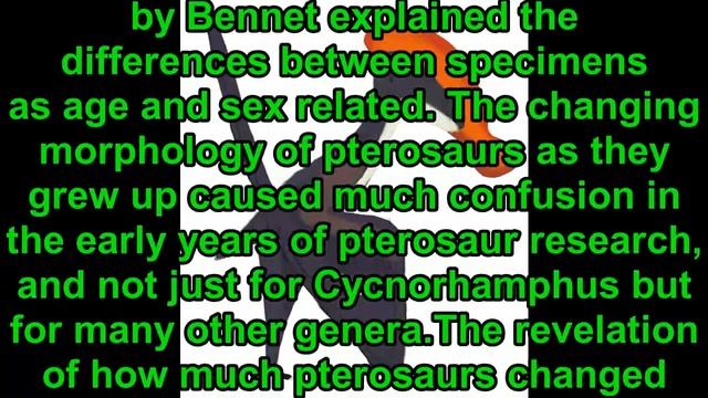 Prehistoric Information- Cycnorhamphus смотреть онлайн