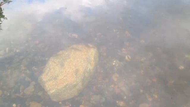 Гольяны смотреть онлайн