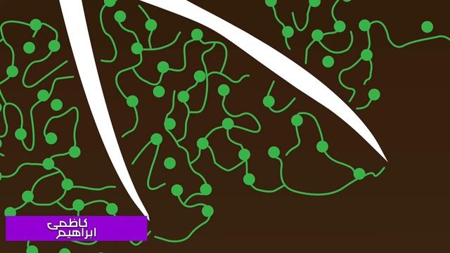 قارچ تریکودرما هارزیانوم / trichoderma harzianom смотреть онлайн