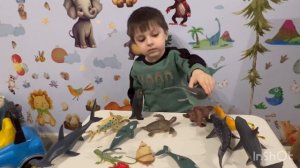 Игрушки морских животных
