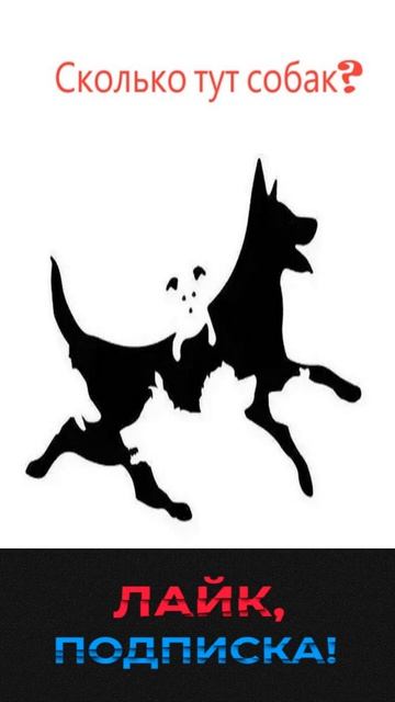 Сколько здесь собак?How many dogs are there?#short #тестнавнимательность смотреть онлайн