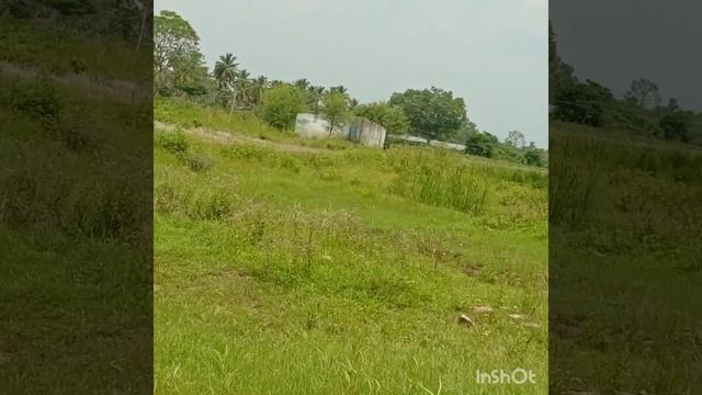 2. acre 7 cent river attach ment cauvery b n g 125 k m mys ge 75 km 35 lakhs per acre 636044697 смотреть онлайн