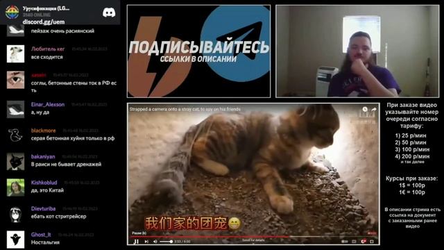 Маргинал смотрит на котиков смотреть онлайн